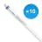 Lot 10x Philips Tube LED T5 MASTER (HF) High Output 26W 3700lm - 830 Blanc Chaud | 145cm - Dimmable - Équivalent 49W